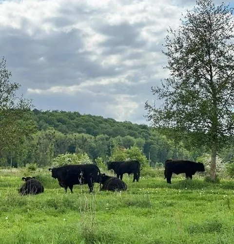 Bless Valkenburg Σπίτι διακοπών Valkenburg aan de Geul